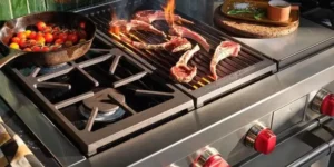 Wolf appliances photo