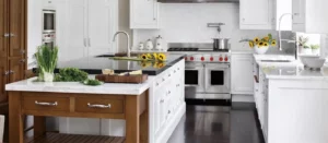 wolf appliances on kitchen photo
