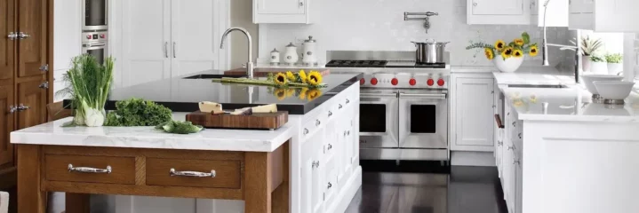 wolf appliances on kitchen photo